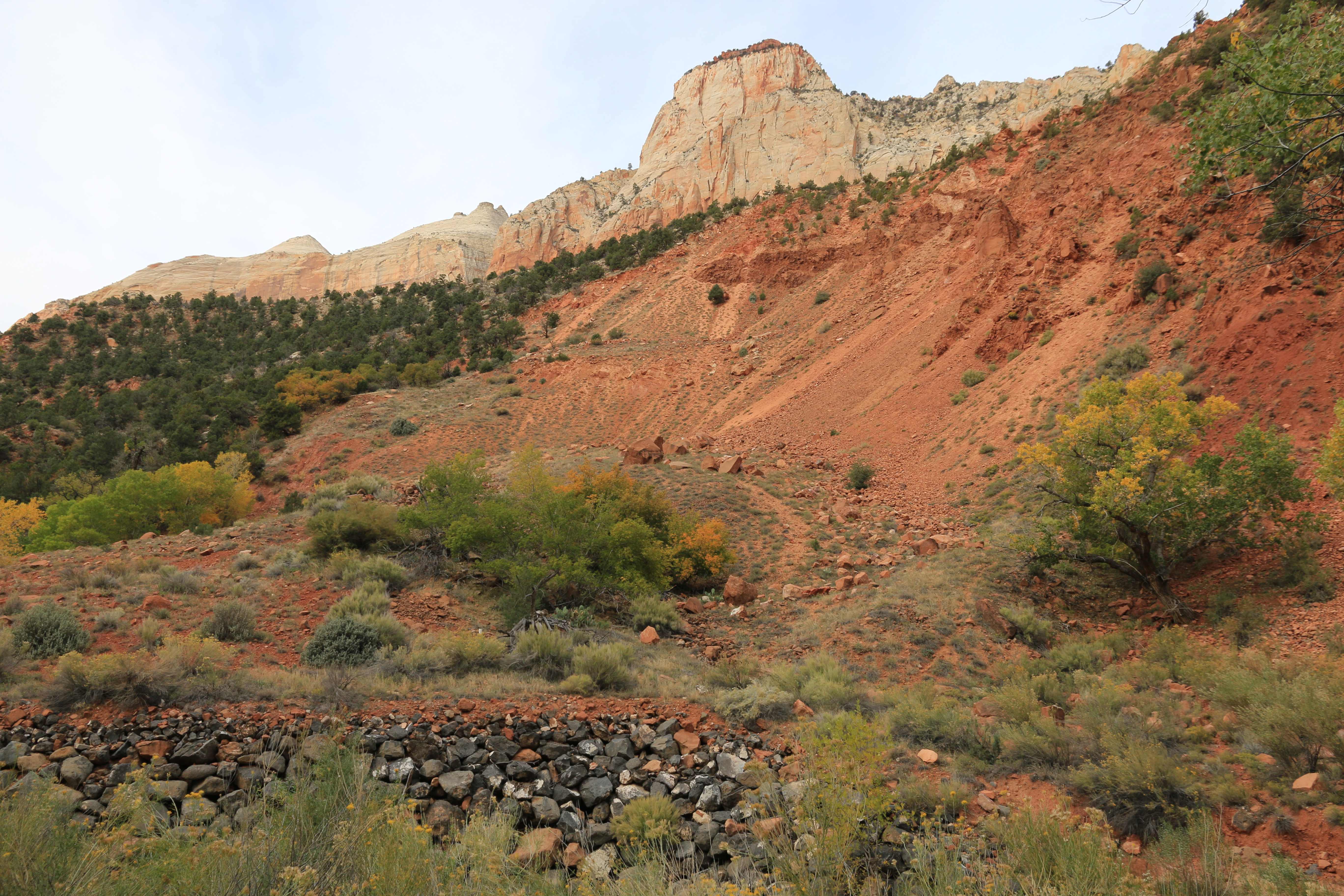 Zion NP